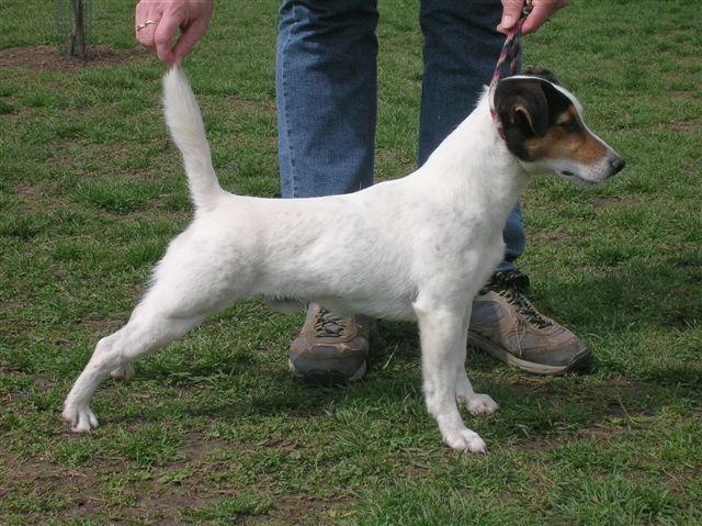 Atrix Pesula